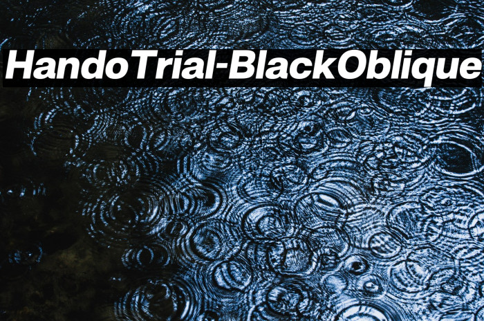 HandoTrial-BlackOblique Example 2