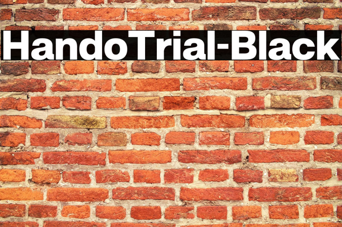 HandoTrial-Black Example 1