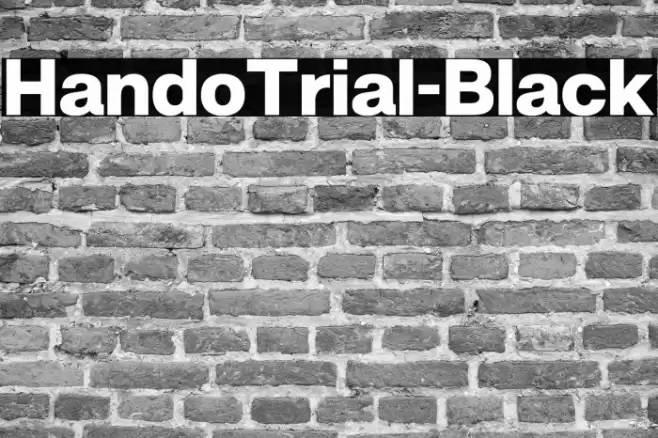 HandoTrial-Black Font examples