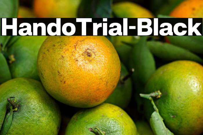 HandoTrial-Black Example 2