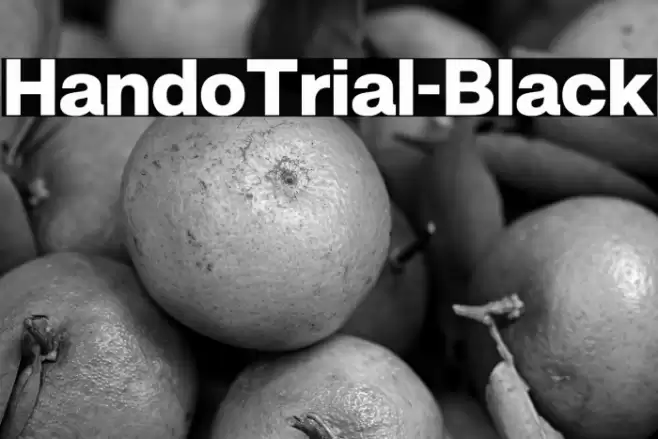 HandoTrial-Black Font examples