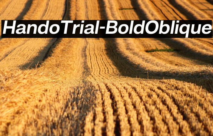 HandoTrial-BoldOblique Example 2