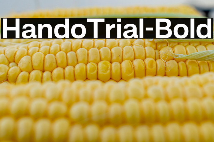 HandoTrial-Bold Example 1