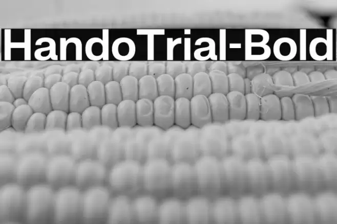 HandoTrial-Bold Font examples