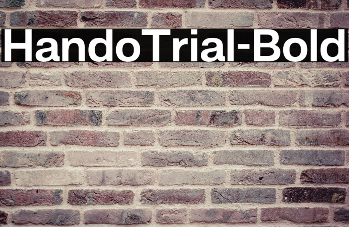 HandoTrial-Bold Example 2