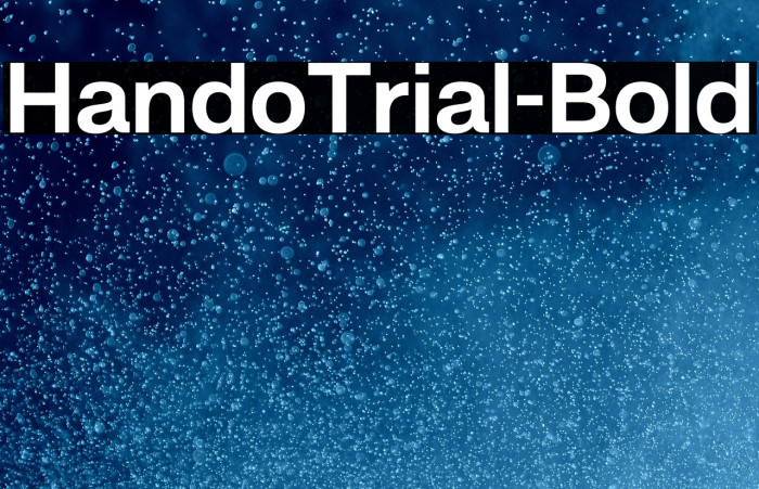 HandoTrial-Bold Example 3