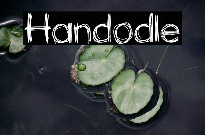 Handodle Example 3