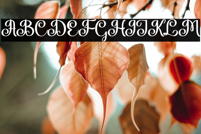 HandofKing Example 1