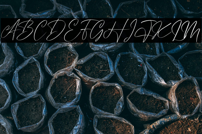 Handover Signature Example 1