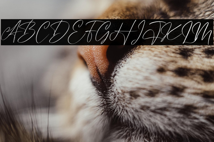 Handover Signature Example 3