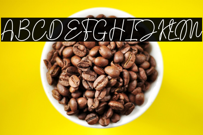 Handoyo Signature personal use Example 2