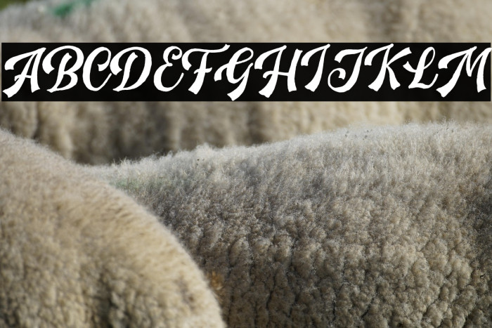 HandpackScriptDEMO Example 2