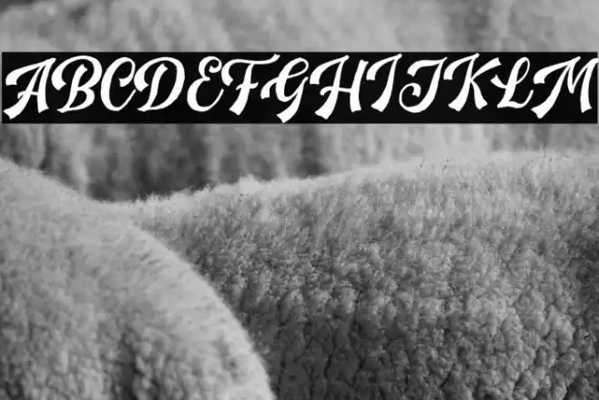 HandpackScriptDEMO Font examples