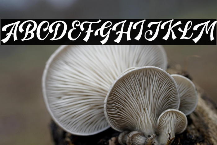 HandpackScriptDEMO Example 3