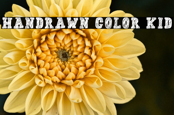 Handrawn Color Kid Example 2
