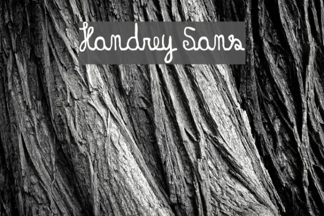 Handrey Sans Example 1