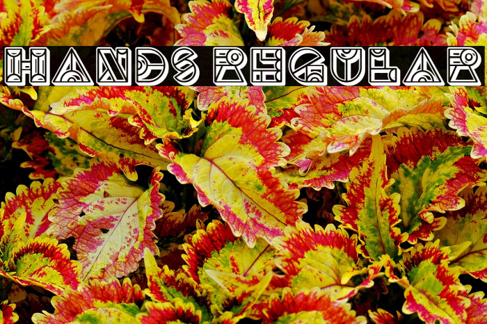 Hands Regular Example 3