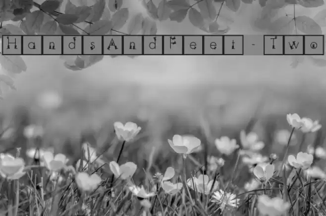 HandsAndFeet-Two Font examples