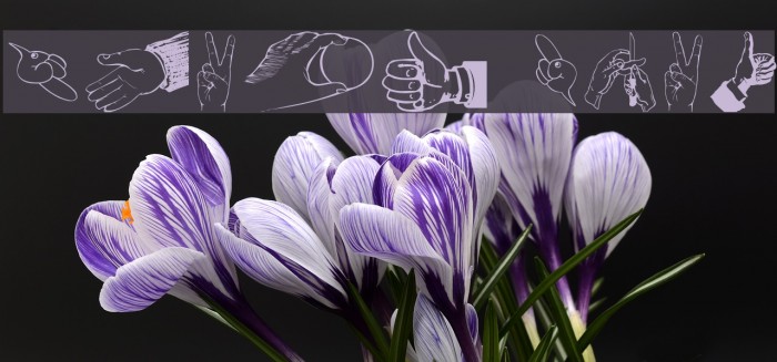 Hands Font examples