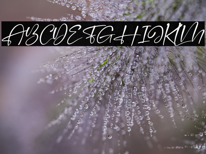 Handscript Signature Italic Example 1