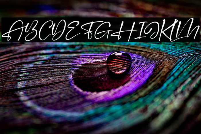 Handscript Signature Italic Example 2