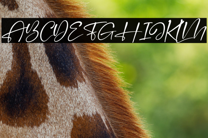 Handscript Signature Italic Example 3