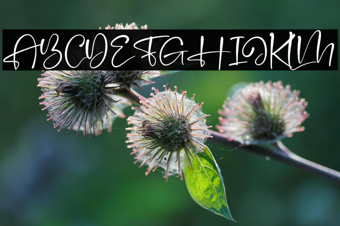 Handscript Signature Example 1