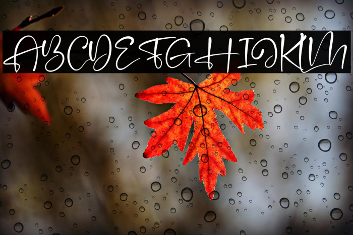 Handscript Signature Example 2