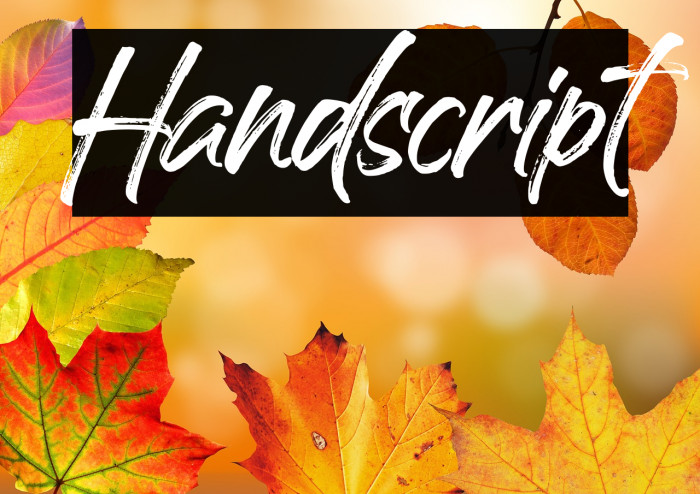 Handscript Example 1