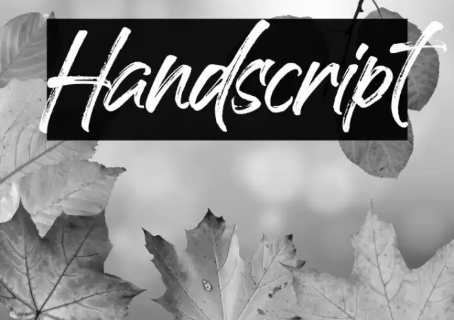 Handscript Font examples