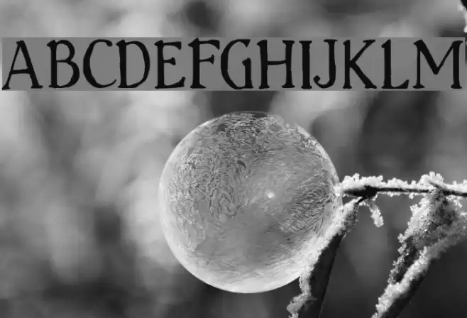 Handserif Font examples