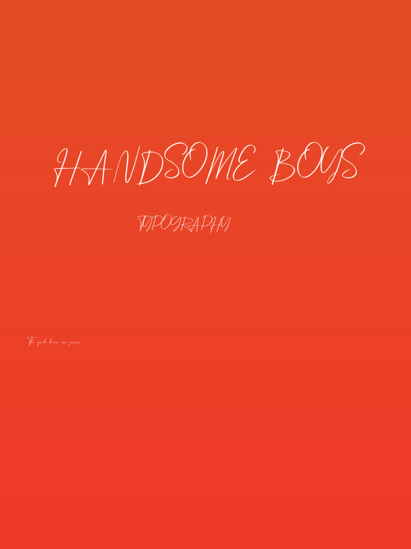 Handsome Boys Poster