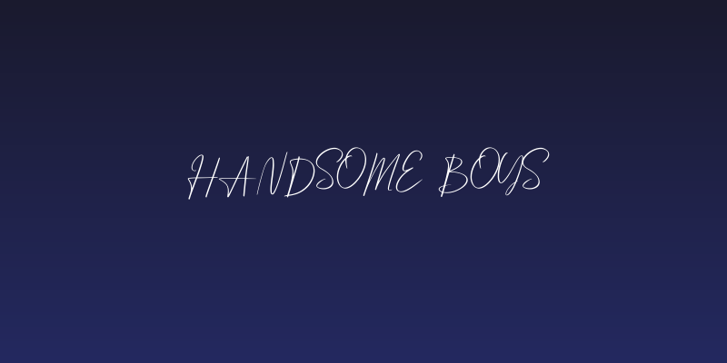 Handsome Boys Social Header