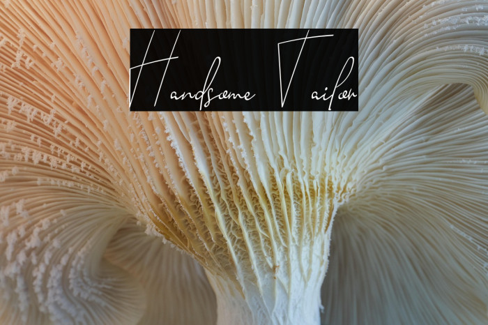 Handsome Tailor Example 2