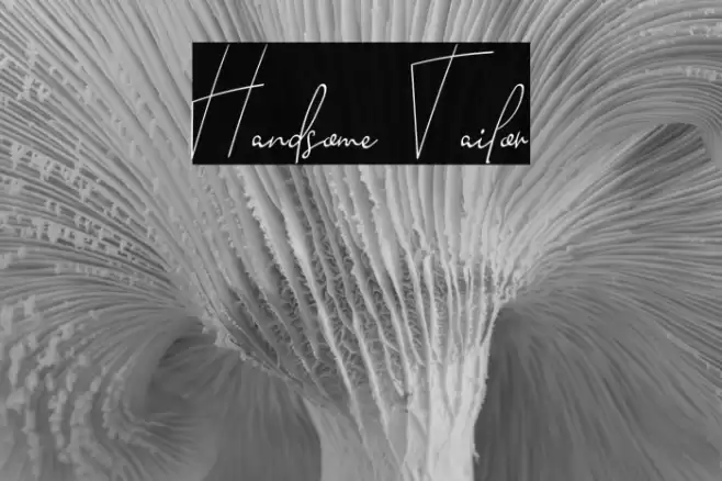 Handsome Tailor Font examples