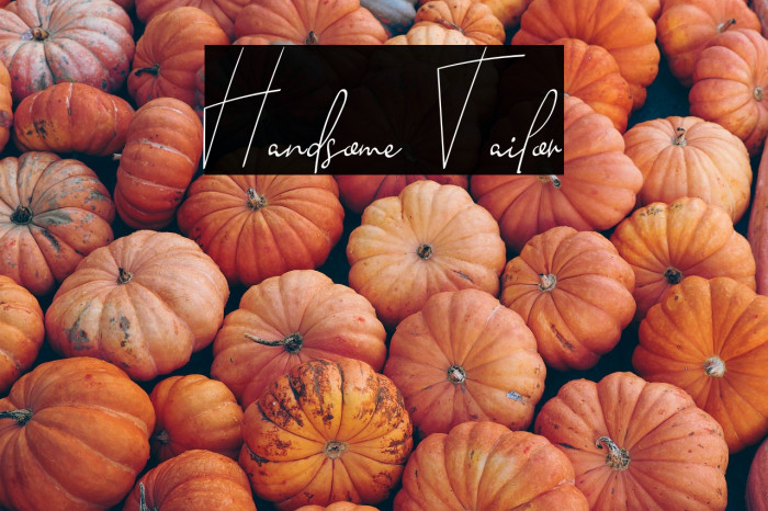 Handsome Tailor Example 3