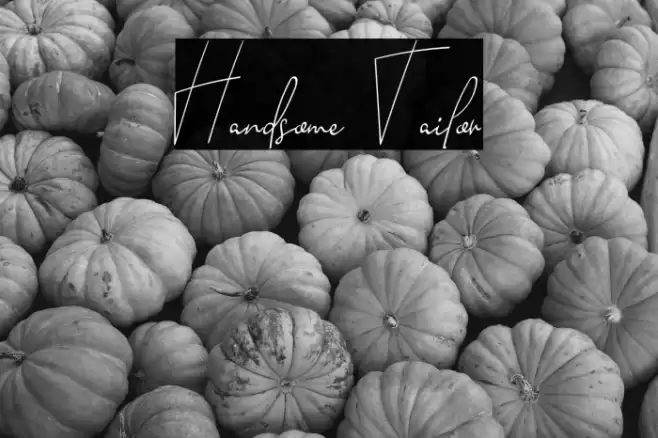 Handsome Tailor Font examples