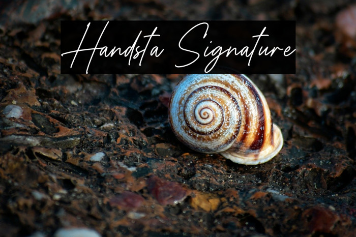 Handsta Signature Example 1