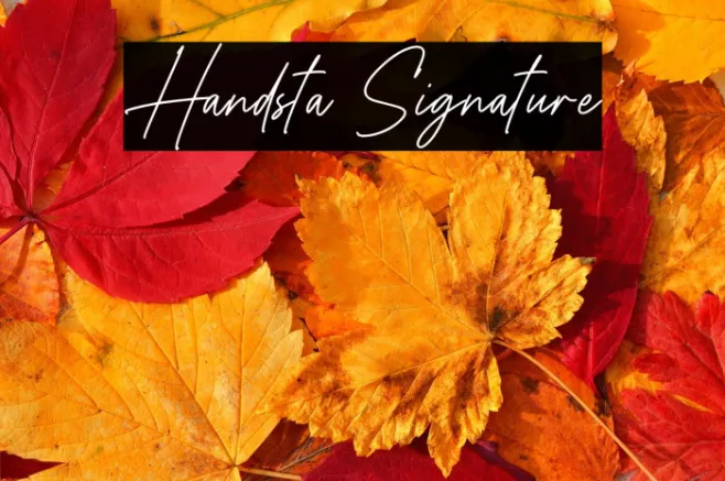 Handsta Signature Example 3