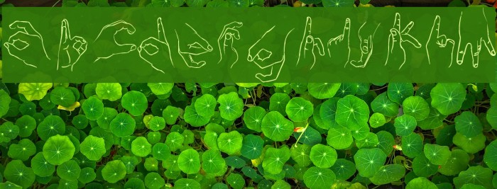 Handstand Font examples