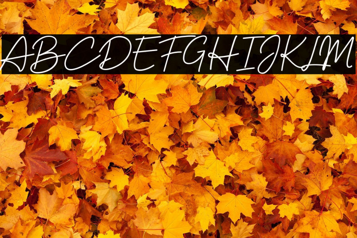 Handswell - Personal Use Example 2