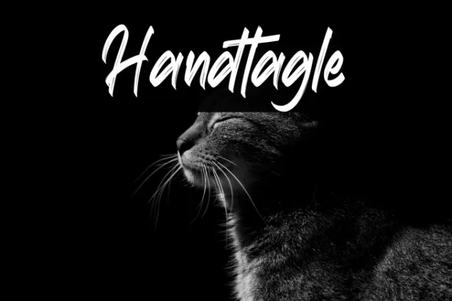 Handtagle Example 2