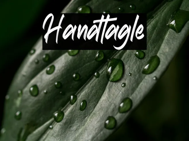 Handtagle Example 3