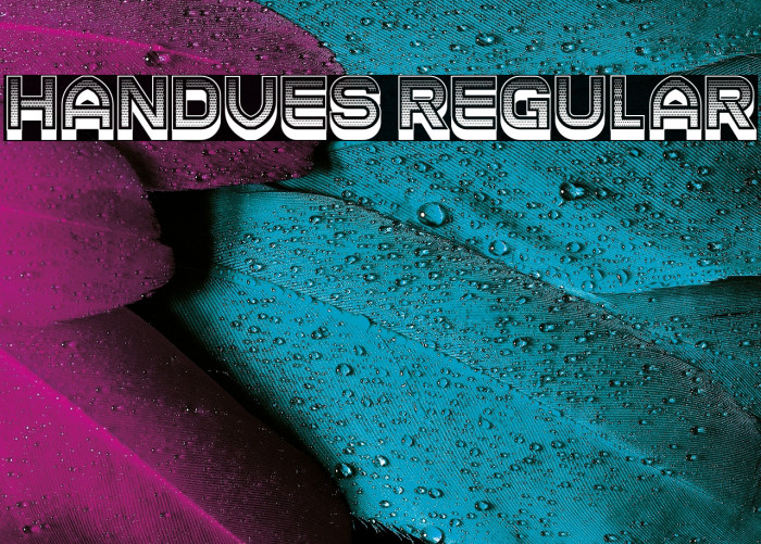 Handves Regular Example 1