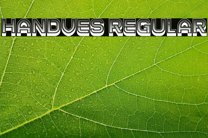 Handves Regular Example 3