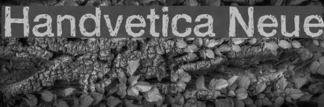 Handvetica Neue Font examples