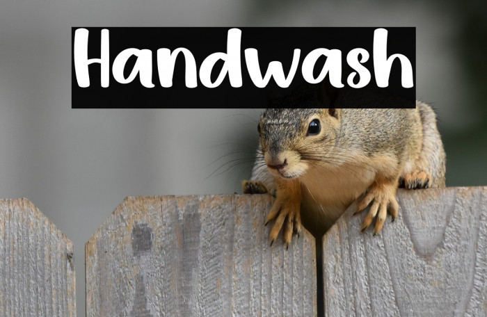 Handwash Example 3