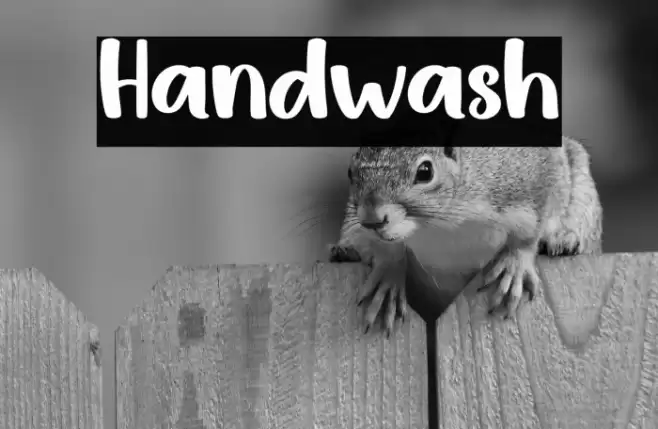 Handwash Caratteri examples