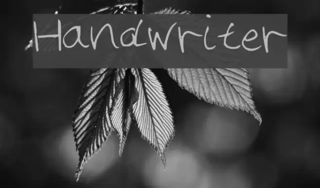 Handwriter Font examples