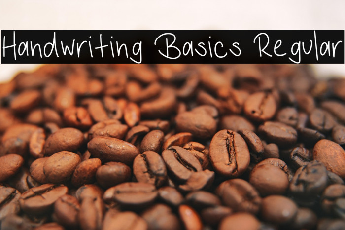 Handwriting Basics Regular Example 2